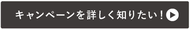 キャンペーンを詳しく知りたい!