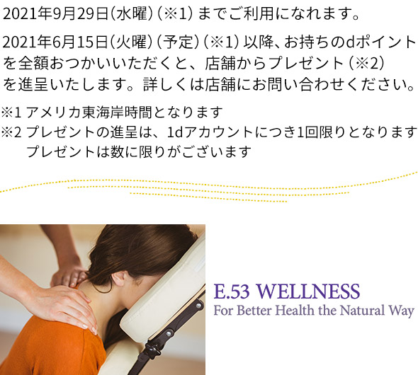 E53 ウェルネス(E53 WELLNESS)