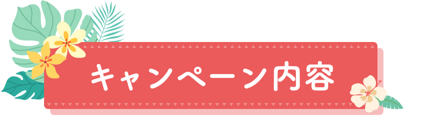 キャンペーン内容